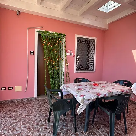 Rosa Орозеи